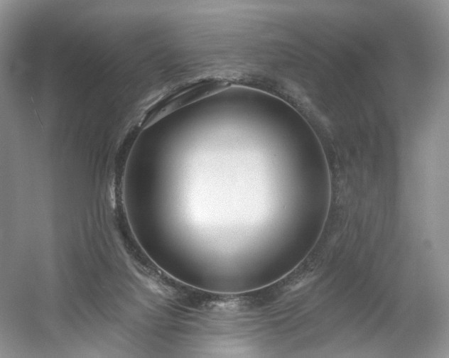 X0000054360068200508051540