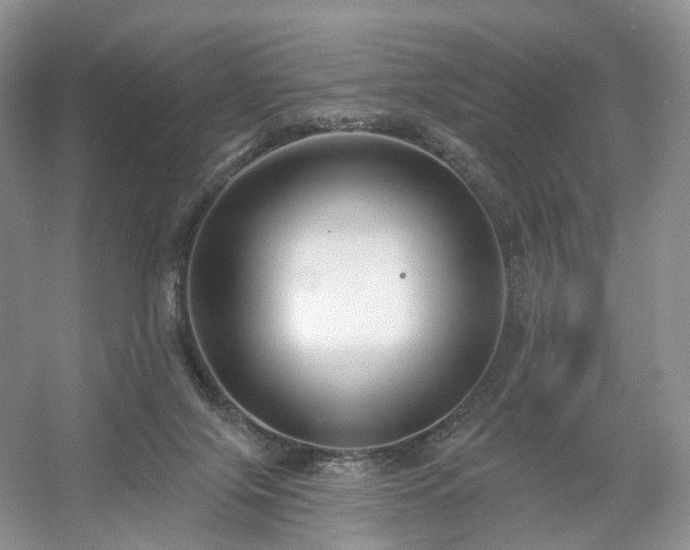X0000054360071200508051540