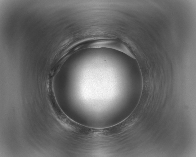 X0000054360072200508051540