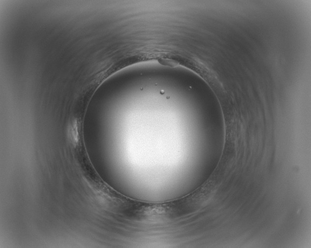 X0000054360075200508051540