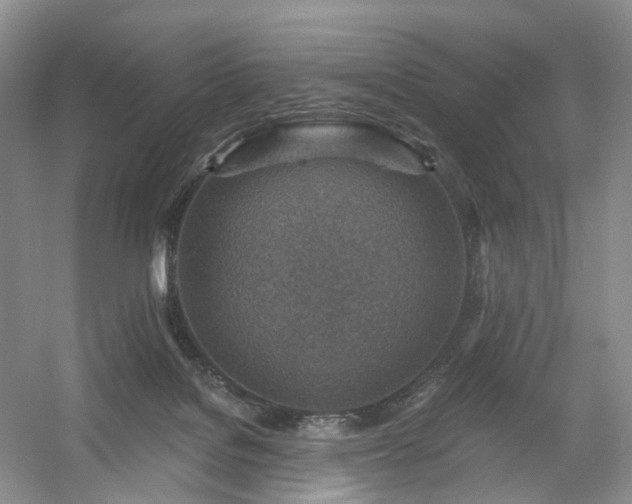 X0000054360076200508051540