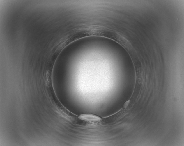 X0000054360077200508051540