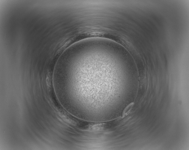 X0000054360078200508051540