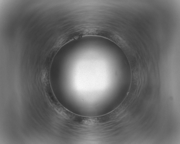 X0000054360079200508051540