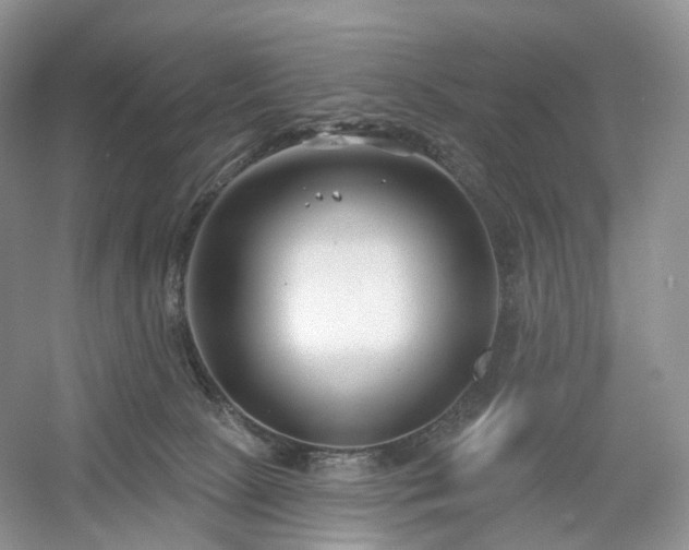 X0000054360081200508051540