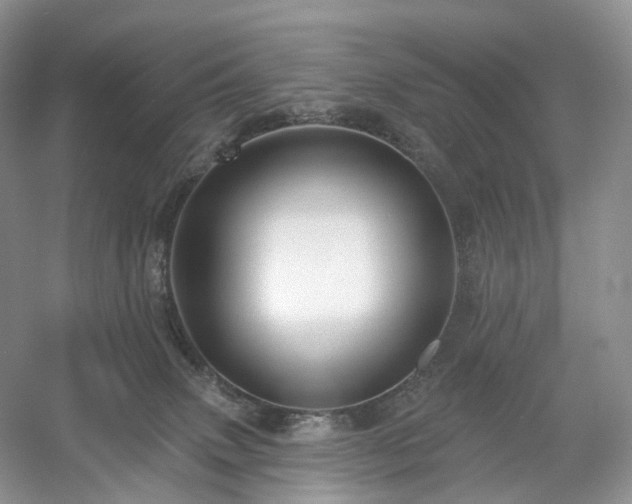X0000054360083200508051540