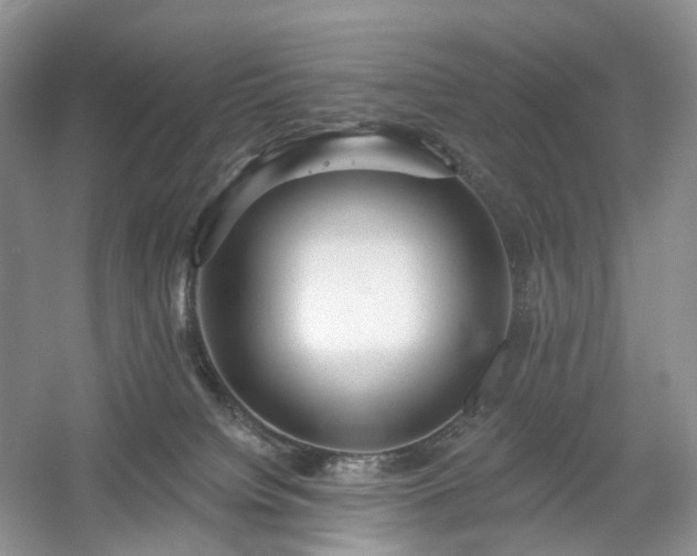 X0000054360084200508051540