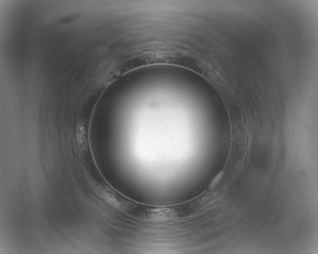 X0000054360087200508051540