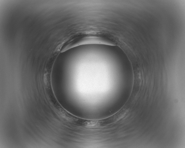 X0000054360088200508051540