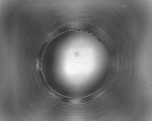 X0000054360089200508051540