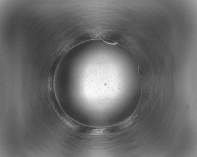 X0000054360090200508051540