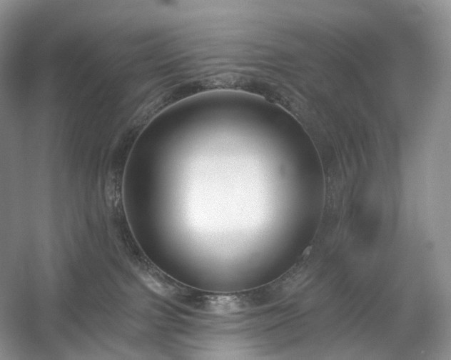 X0000054360091200508051540