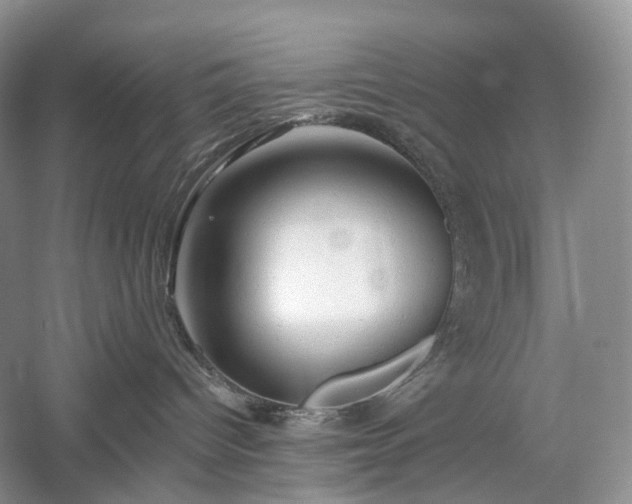 X0000054360096200508051540