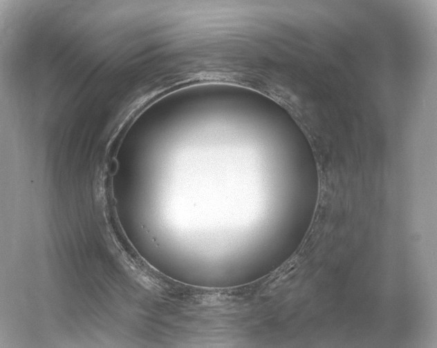 X0000054360098200508051539