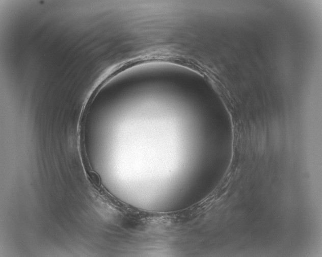 X0000054360100200508051539