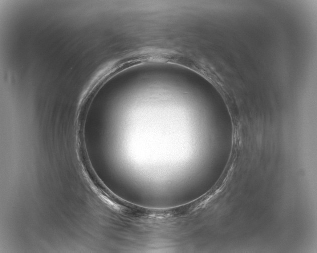 X0000054360101200508051539