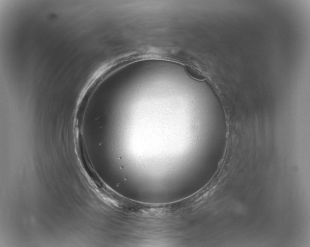 X0000054360102200508051539