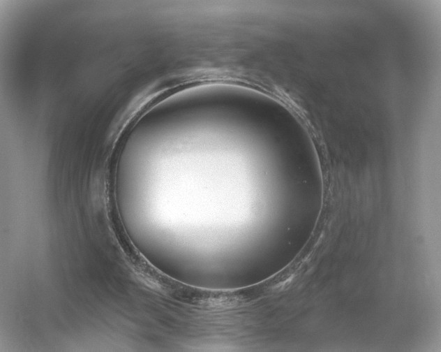 X0000054360103200508051539