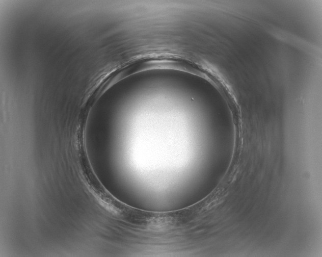 X0000054360105200508051539