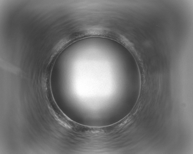 X0000054360106200508051539