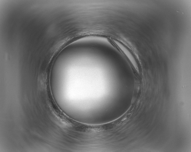 X0000054360107200508051539