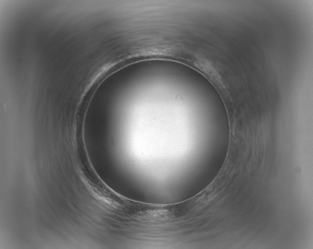 X0000054360108200508051539
