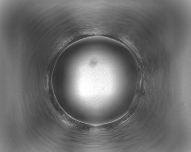 X0000054360109200508051539