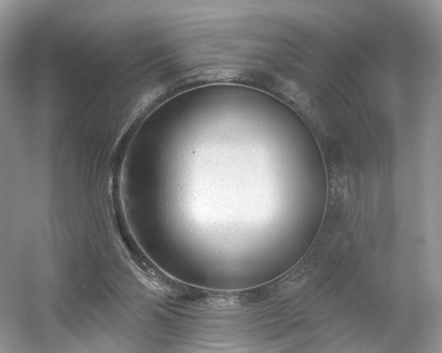 X0000054360110200508051539