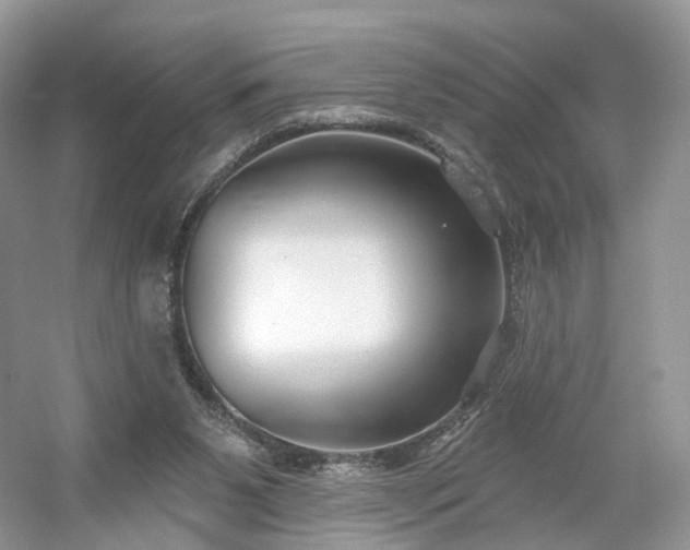 X0000054360111200508051539
