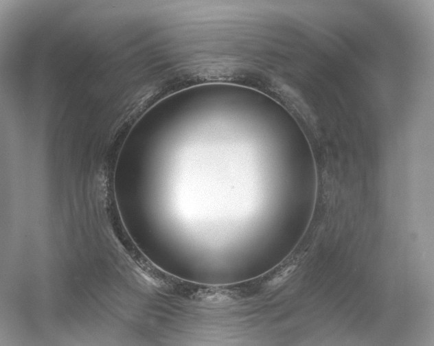 X0000054360113200508051539