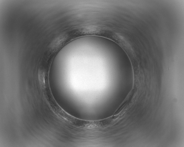 X0000054360115200508051539