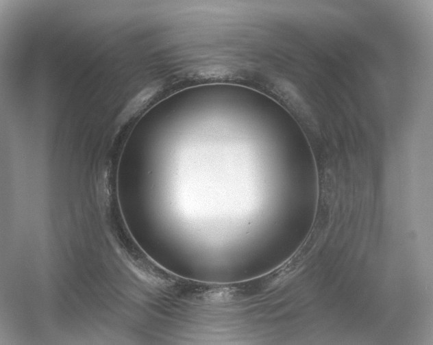 X0000054360116200508051539