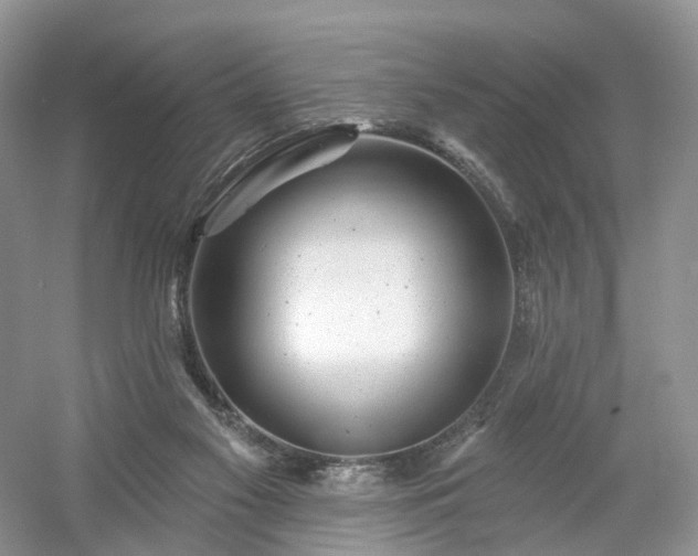 X0000054360117200508051539