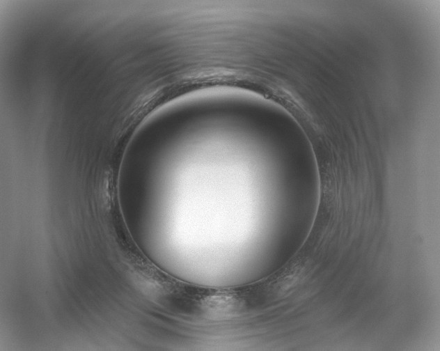 X0000054360119200508051539
