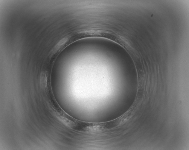 X0000054360120200508051539