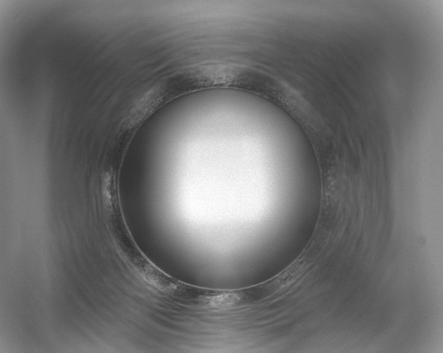 X0000054360122200508051539