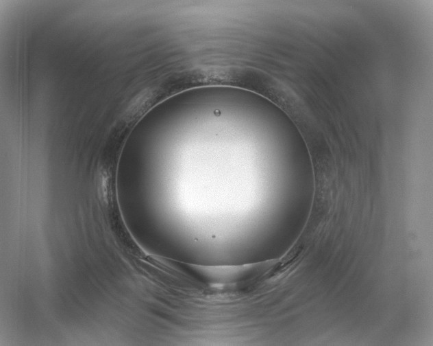 X0000054360123200508051539