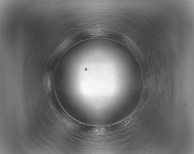 X0000054360124200508051539