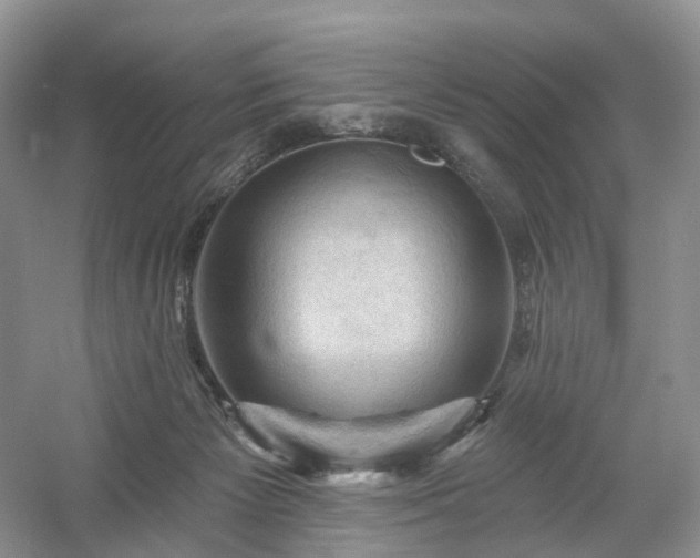 X0000054360125200508051539