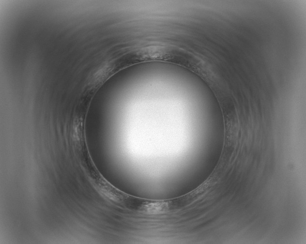 X0000054360126200508051539