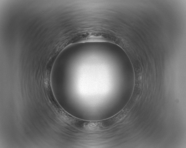 X0000054360129200508051539