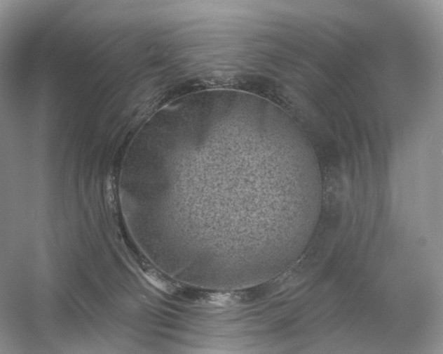 X0000054360130200508051539