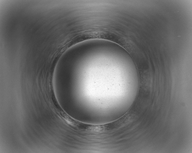 X0000054360131200508051539
