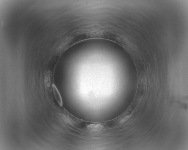 X0000054360133200508051539