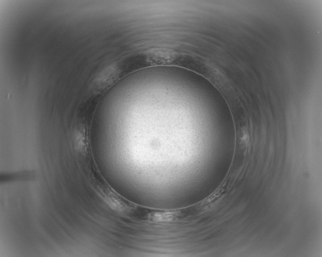 X0000054360134200508051539