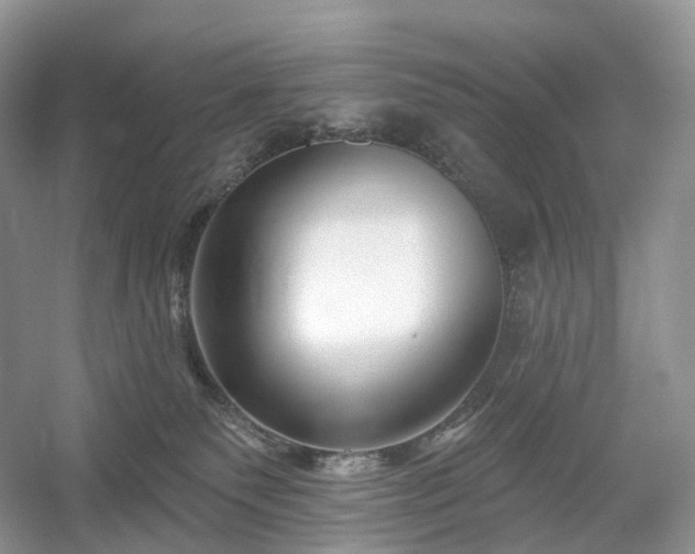 X0000054360135200508051539