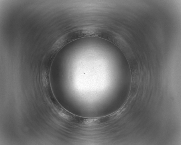 X0000054360136200508051539