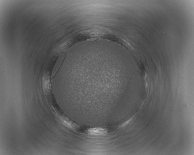 X0000054360137200508051539