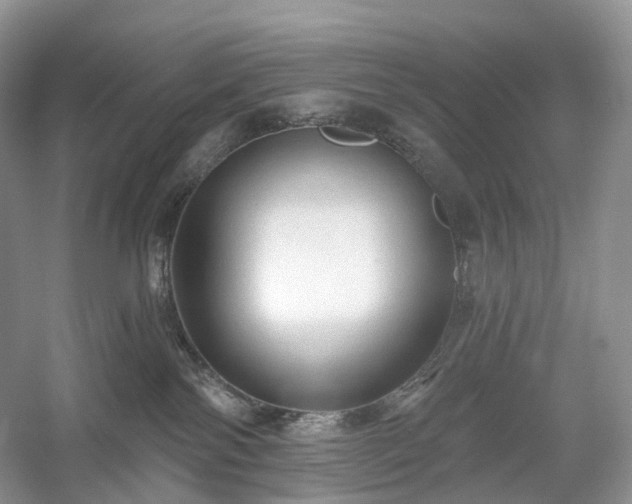 X0000054360138200508051539