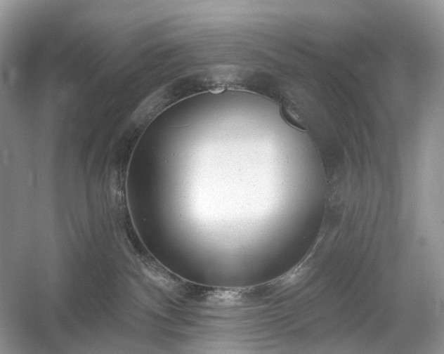 X0000054360140200508051539